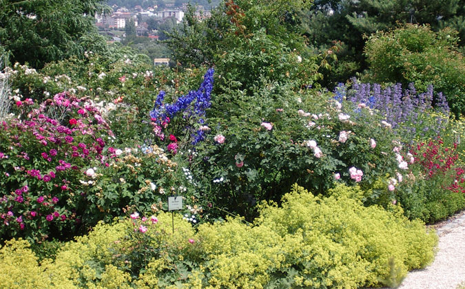 Botanical Garden